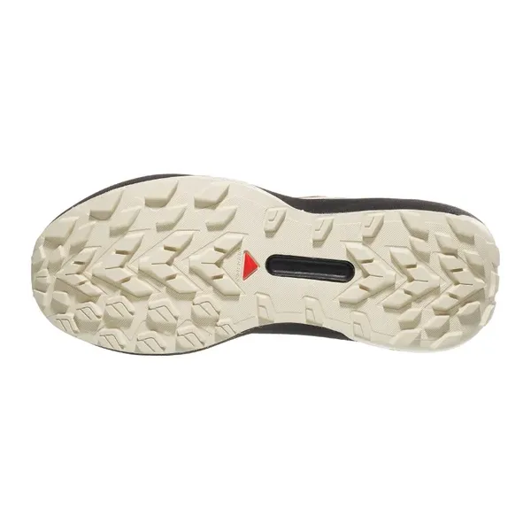 Salomon Genesis