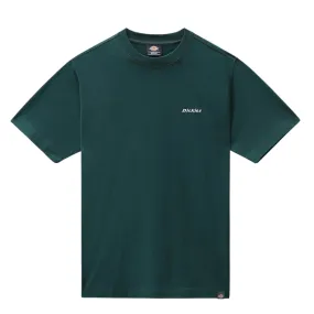 T-shirt Dickies Loretto Verde